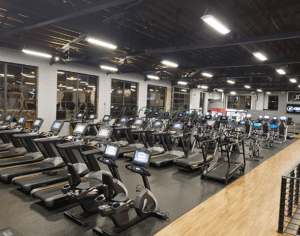 row of treadmills at qntm fit life